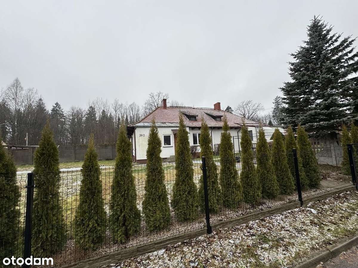 Rewelacyjna lokalizacja( kolejki leśne )Hajnówka w Puszczy Białowieski - Pełny obrazek: 4/20