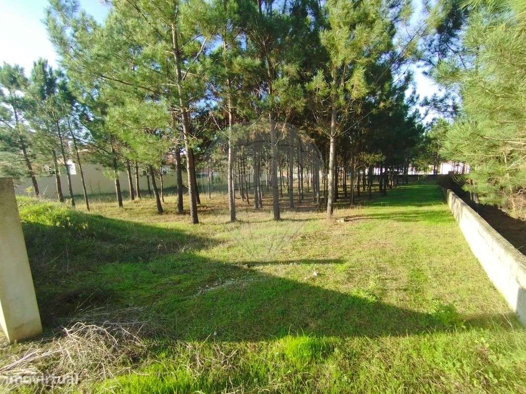 Terreno  para venda - Grande imagem: 4/14