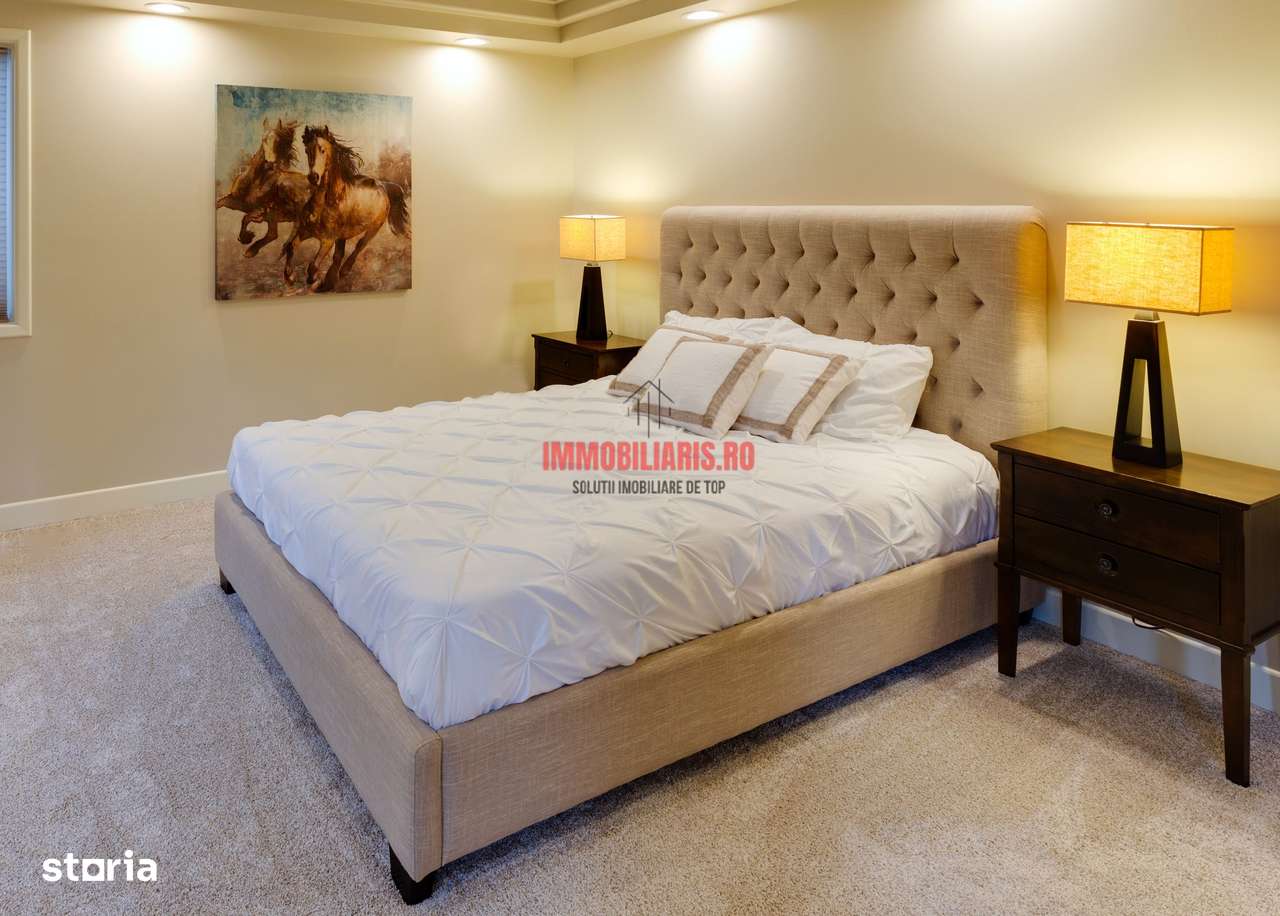 Theodor Pallady - FINALIZAT - Direct Dezvoltator-3