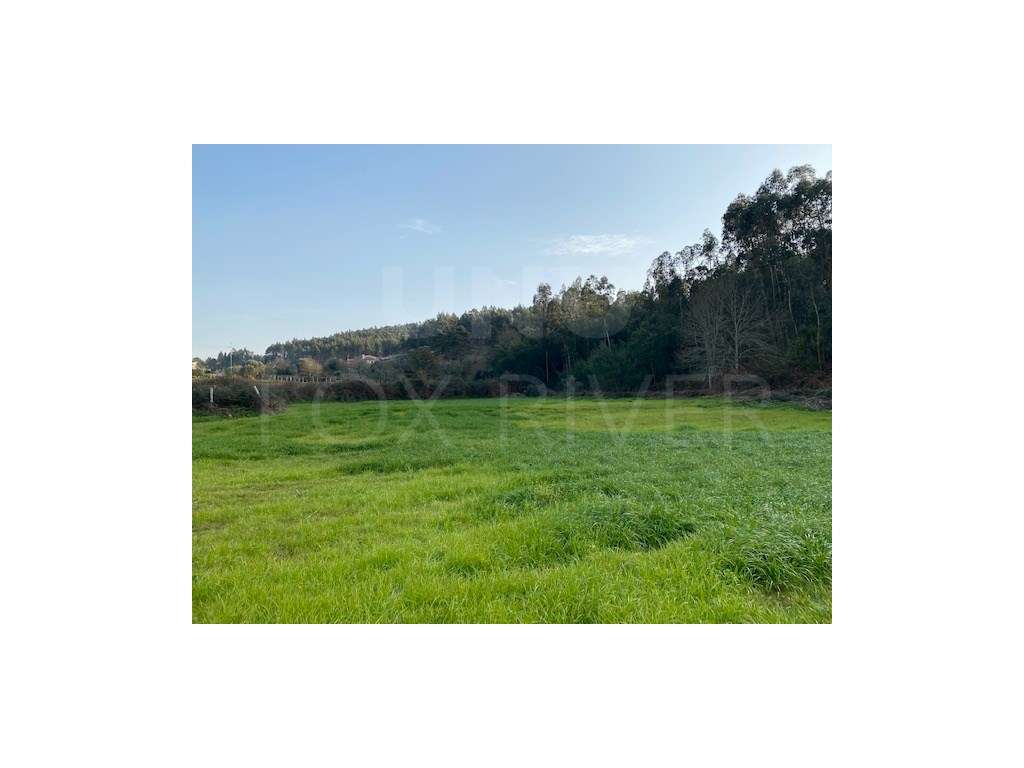 Terreno Agrícola - Subportela - Grande imagem: 2/7