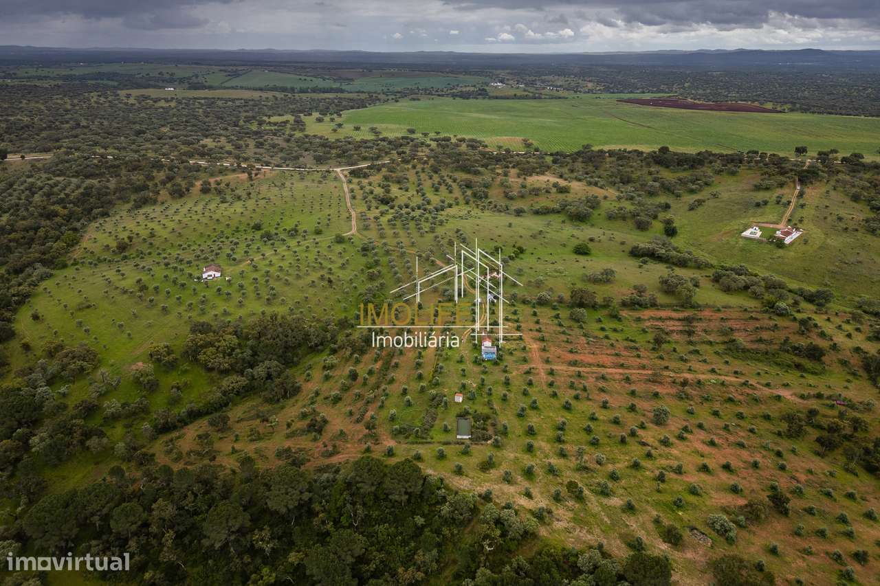 MONTINHO DO CHIADO - MALARRANHA - PAVIA-39