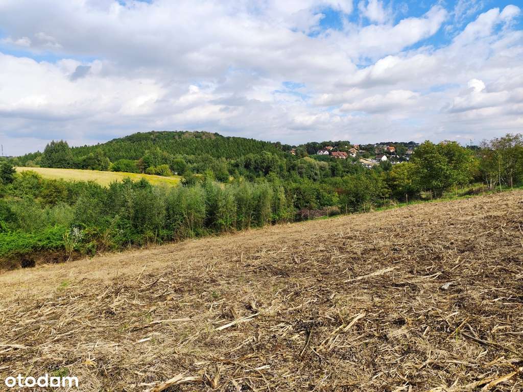 Działka 53a budowlano-rolna Kraków Podgórze Kosocice-4
