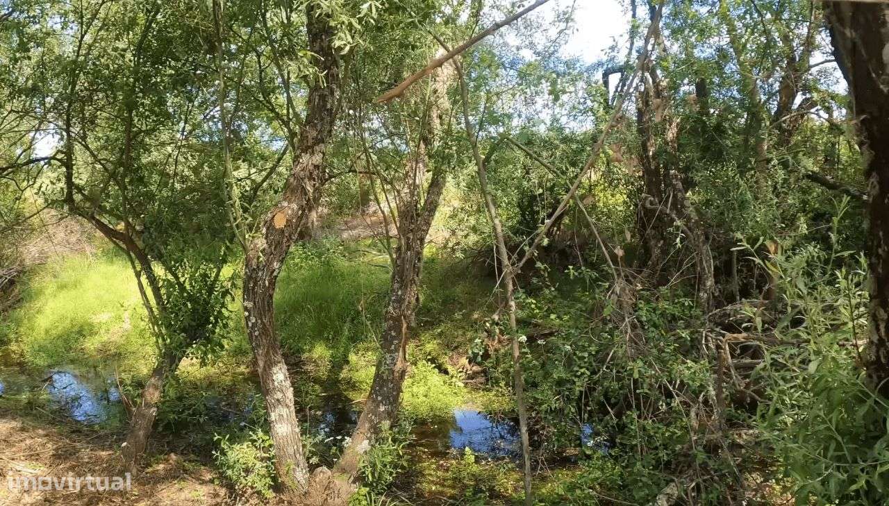 Quinta com vistas fantásticas para Monsanto-15