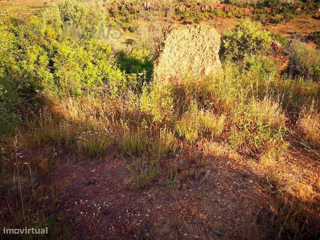 Terreno com Ruina - S. Bartolomeu de Messines - Grande imagem: 5/25