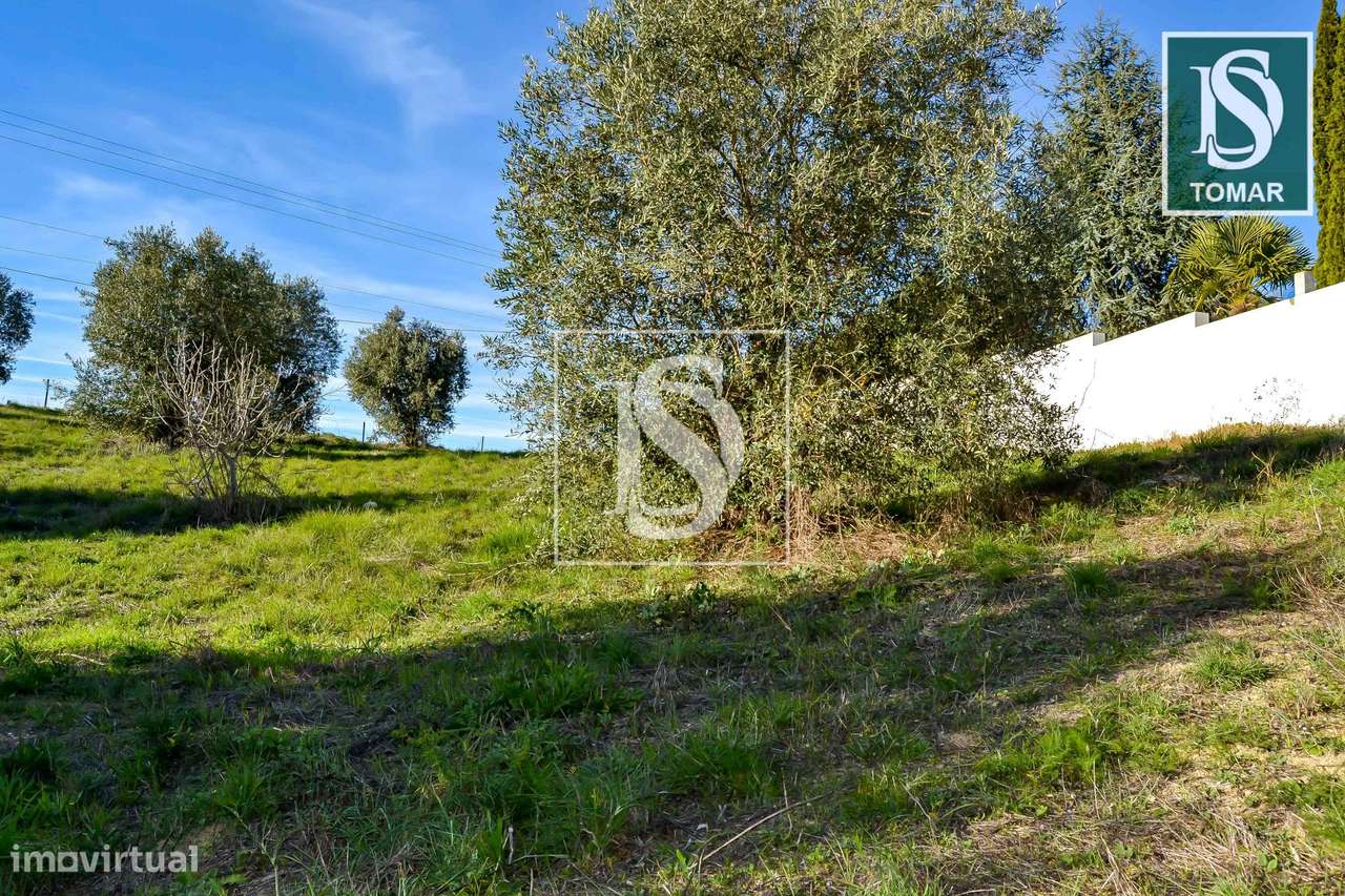 Terreno  Venda em Tomar (São João Baptista) e Santa Maria dos Olivais,-12