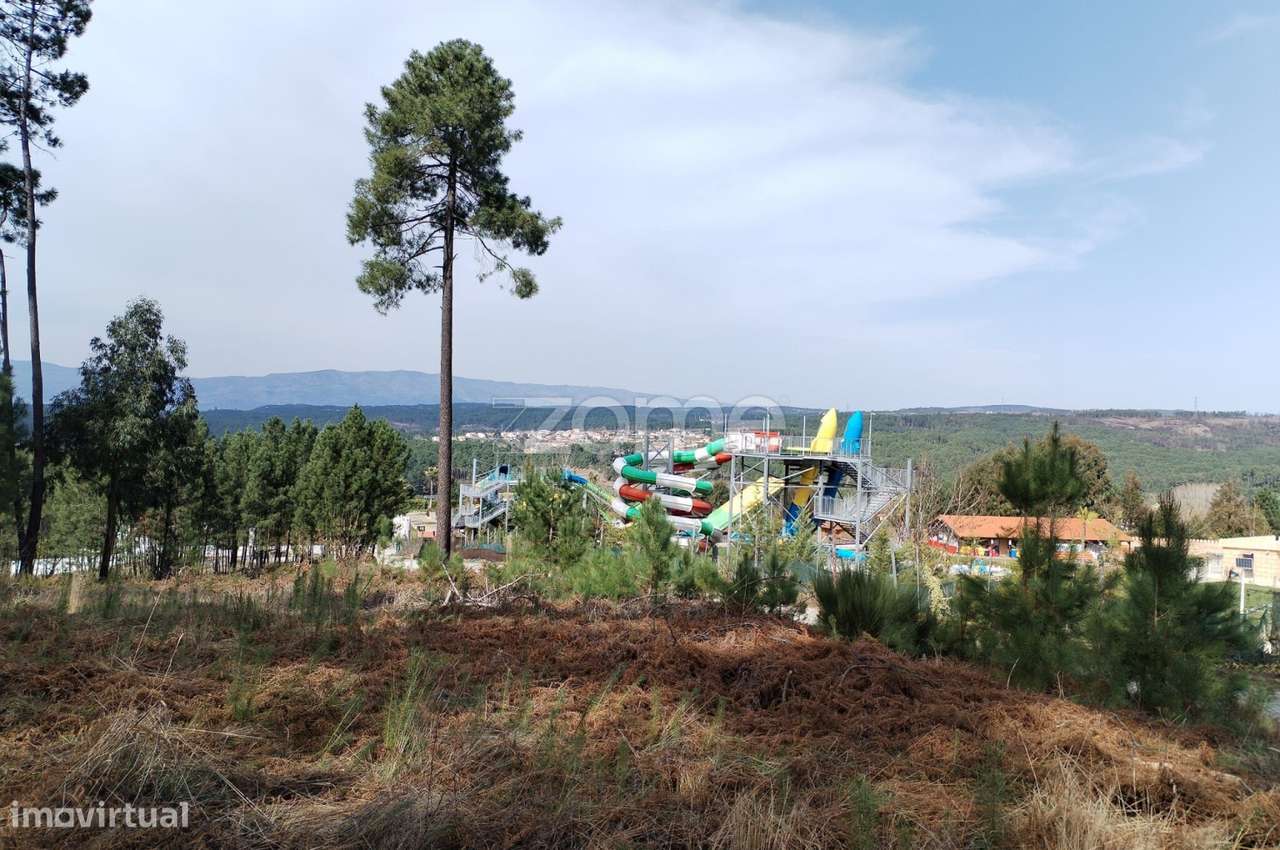 Terreno agricola e florestal.-22