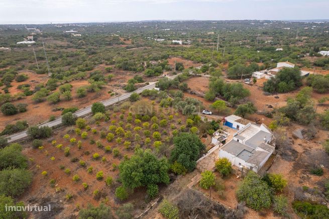 Oportunidade Única no Algarve – Propriedade de 33.840m² com duas morad-3