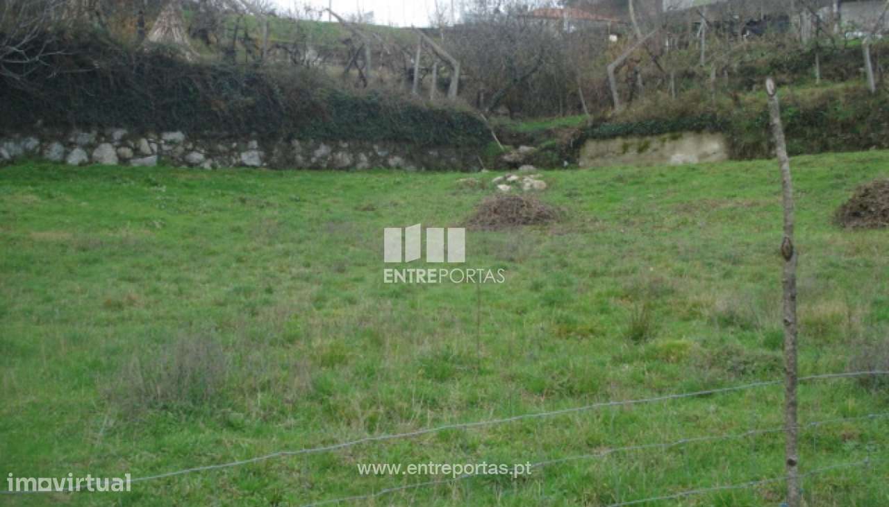 Venda Terreno, junto à estrada, Campelo, Baião - Grande imagem: 4/6