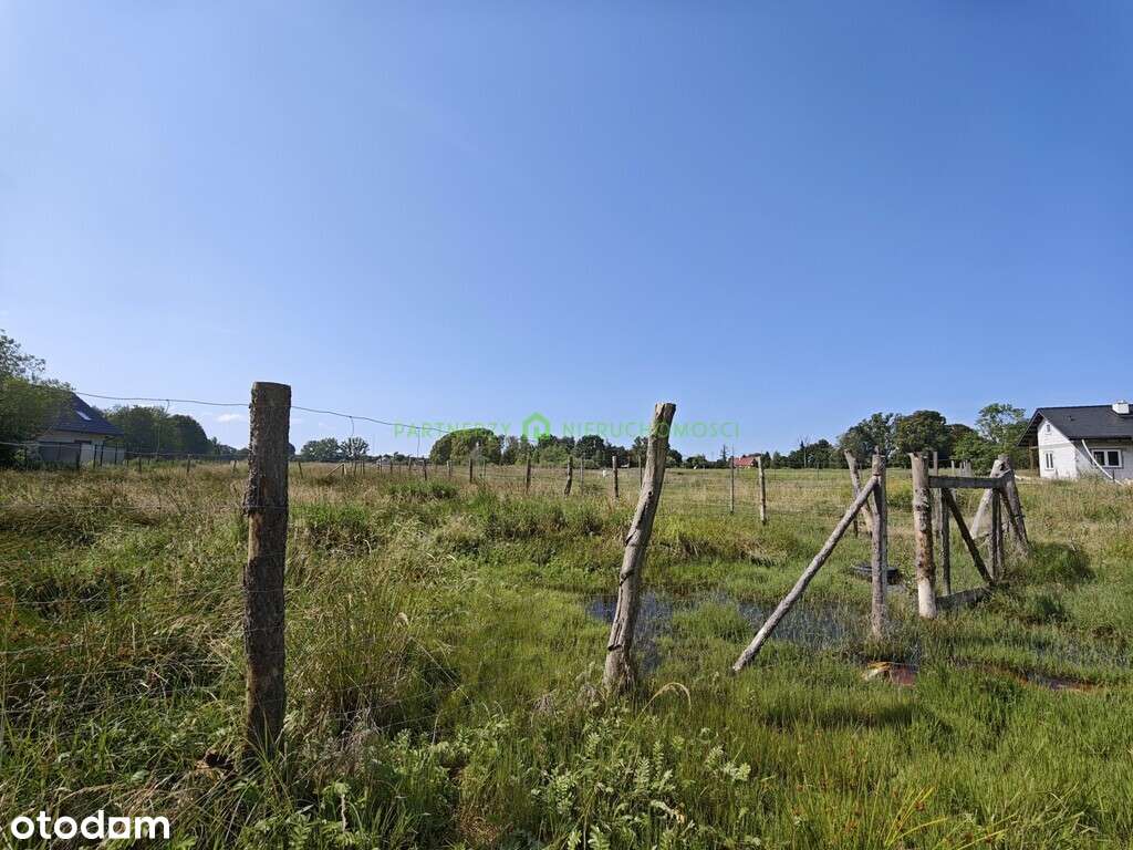 Działka gotowa do budowy blisko Zalew Szczeciński - Pełny obrazek: 4/10