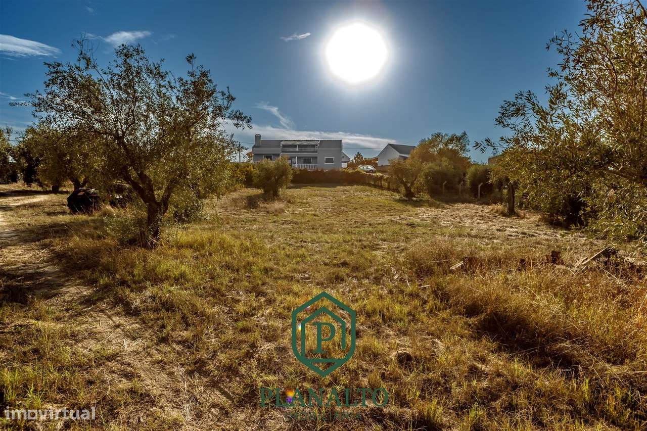 Quinta  Venda em Cortiçadas de Lavre e Lavre,Montemor-o-Novo-13