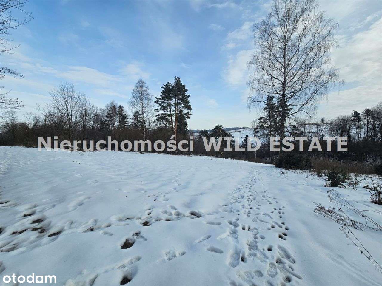 Działka, 1 015 m², Czarna Dolna-4