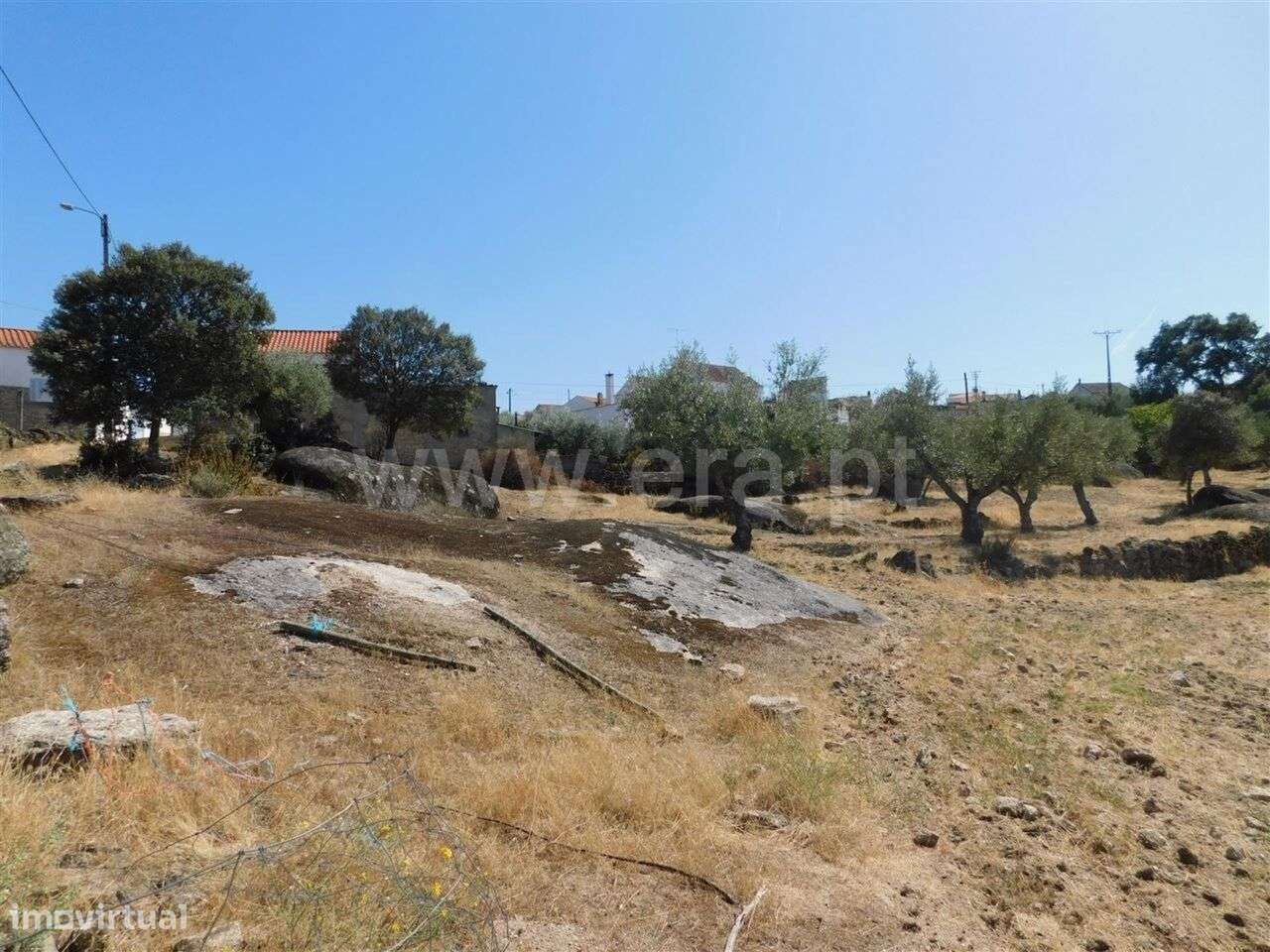 Terreno / Fundão, Martianas - Grande imagem: 5/5