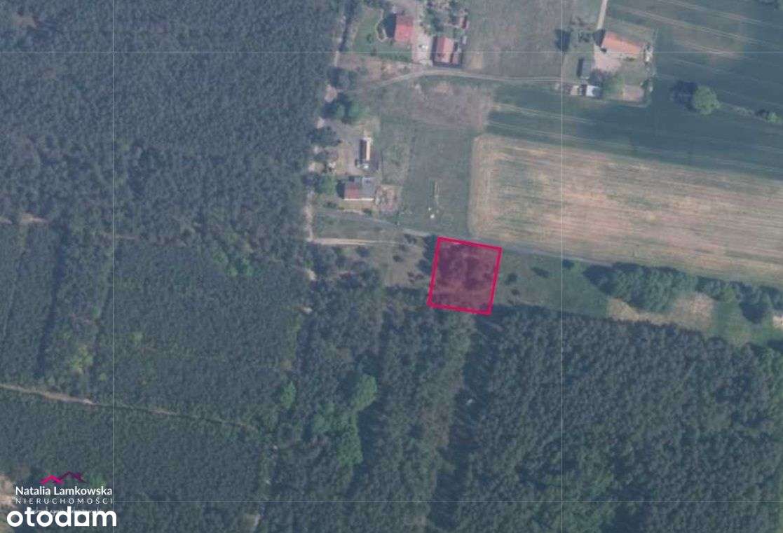 *DRAGACZ*działka budowlana*warunki zabudowy*uzbrojona* - Pełny obrazek: 4/4