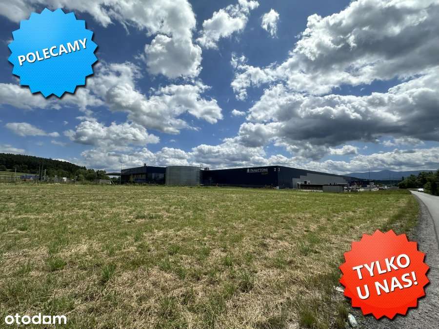 Działka   komercyjna    Jelenia Góra-1