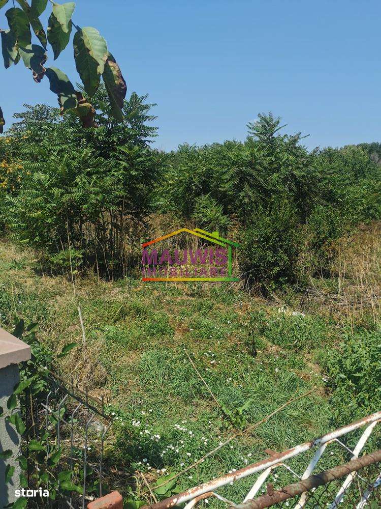 Oferta teren ieftin 2000 mp, intravilan, in Voluntari strada  Galata - Imagine principală: 4/5