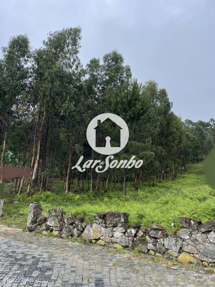 Terreno para construção em Barcelos - Grande imagem: 5/24