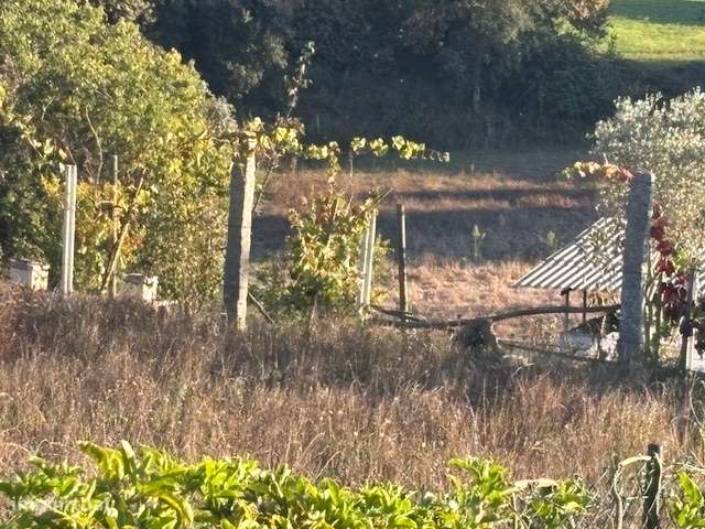 VENDE-SE TERRENO COM 2100 M2-12