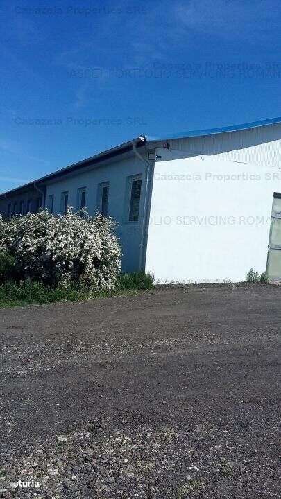 Spatiu industrial, Manoleasa, Botosani - Imagine principală: 2/10