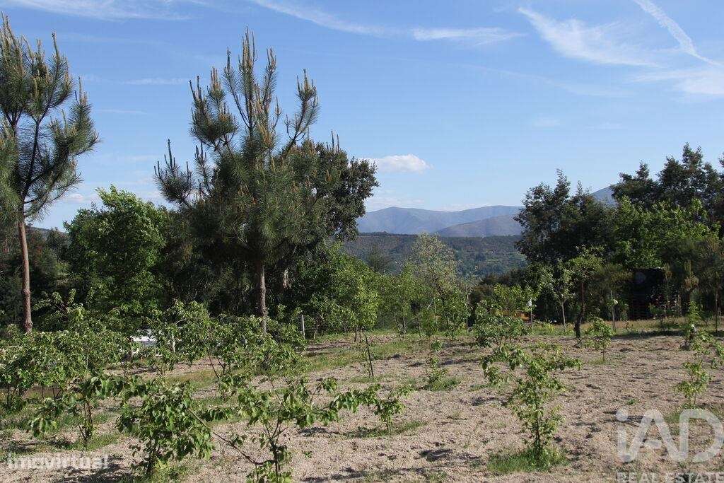 Terreno Agrícola em Oliveira do Hospital e São Paio de Gramaços-15