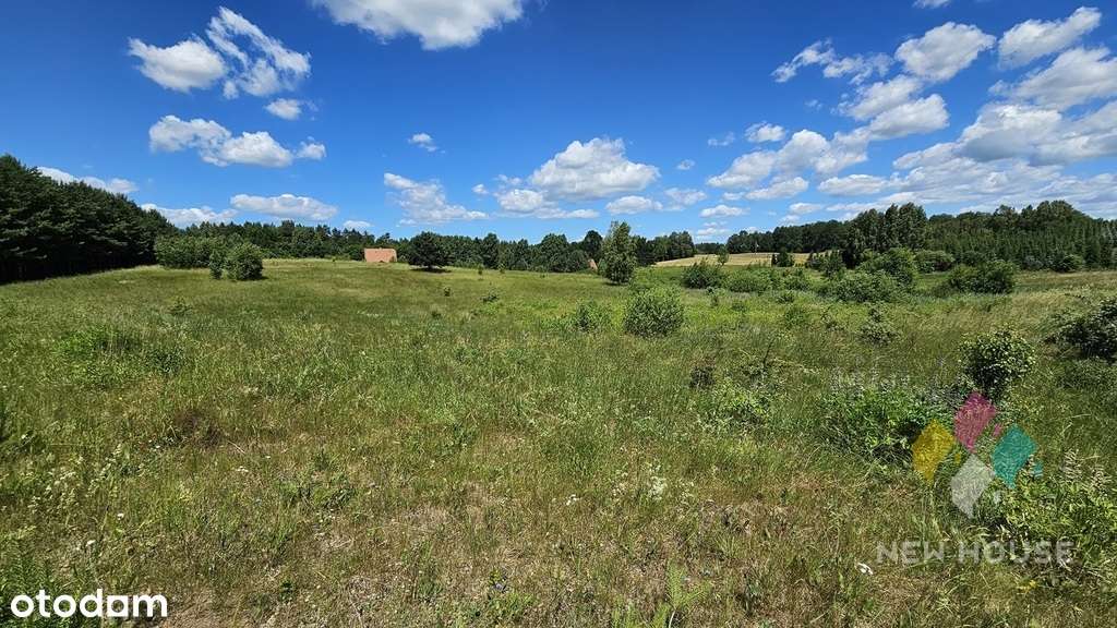 Działka z możliwością zabudowy - Pełny obrazek: 4/9