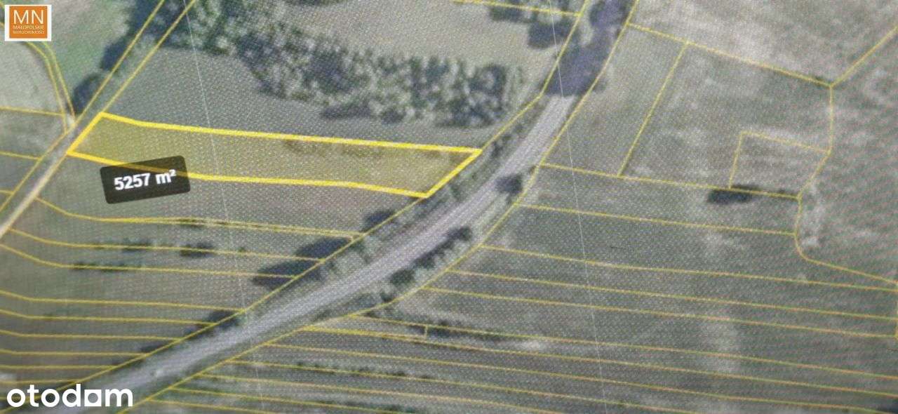 Koszyce,Rachwałowice,Działki 1,2142haRolne-8