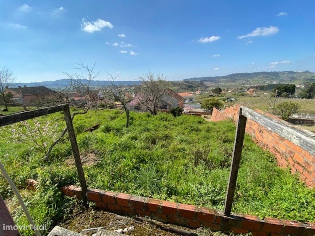 TERRA DE CULTURA