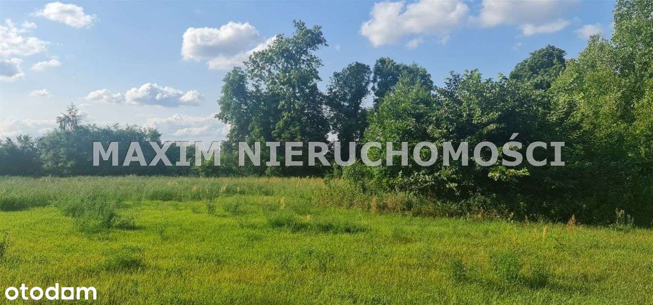 Piękny Teren 5 Ha Po Pałacu W Jarocinie K/Płońska - Pełny obrazek: 4/20