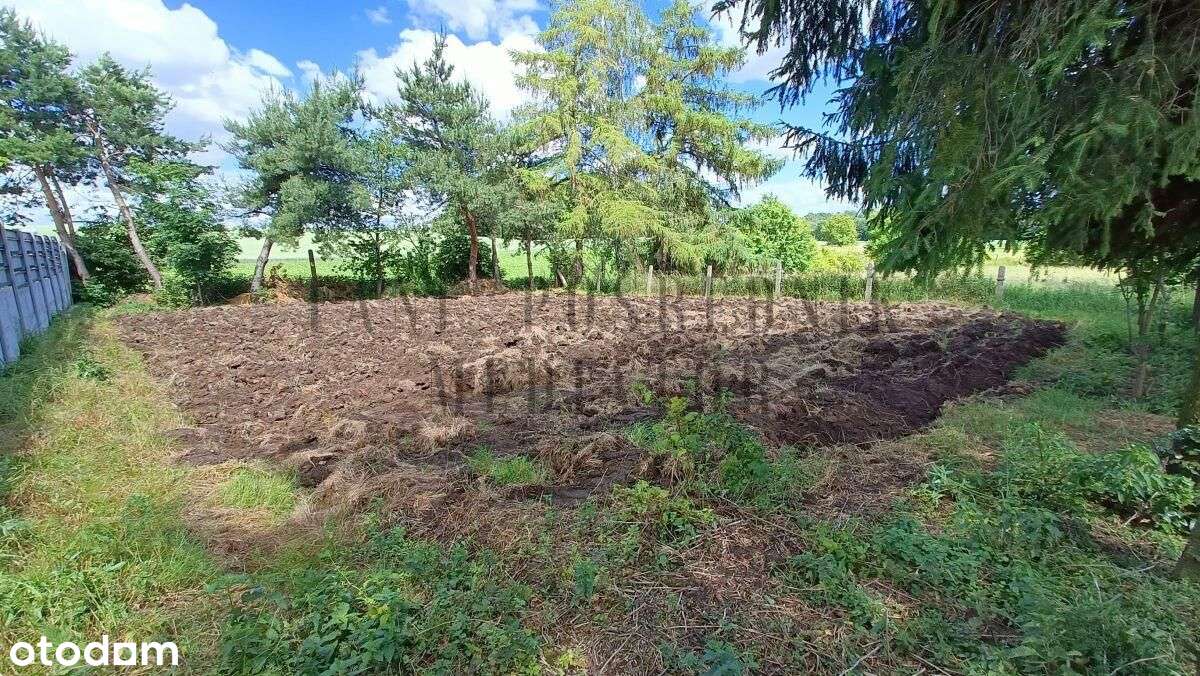 Nowa cena - dom na pięknej działce.-19