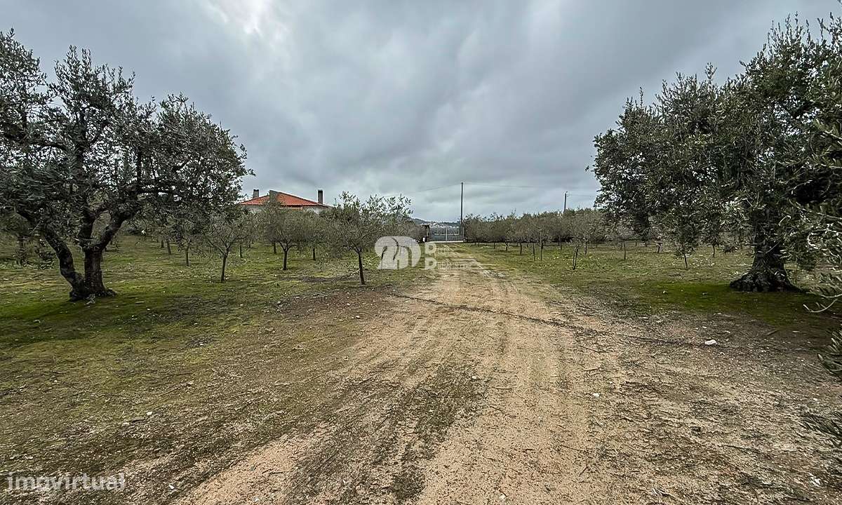 Terreno 5860m² - Pinheiros-9