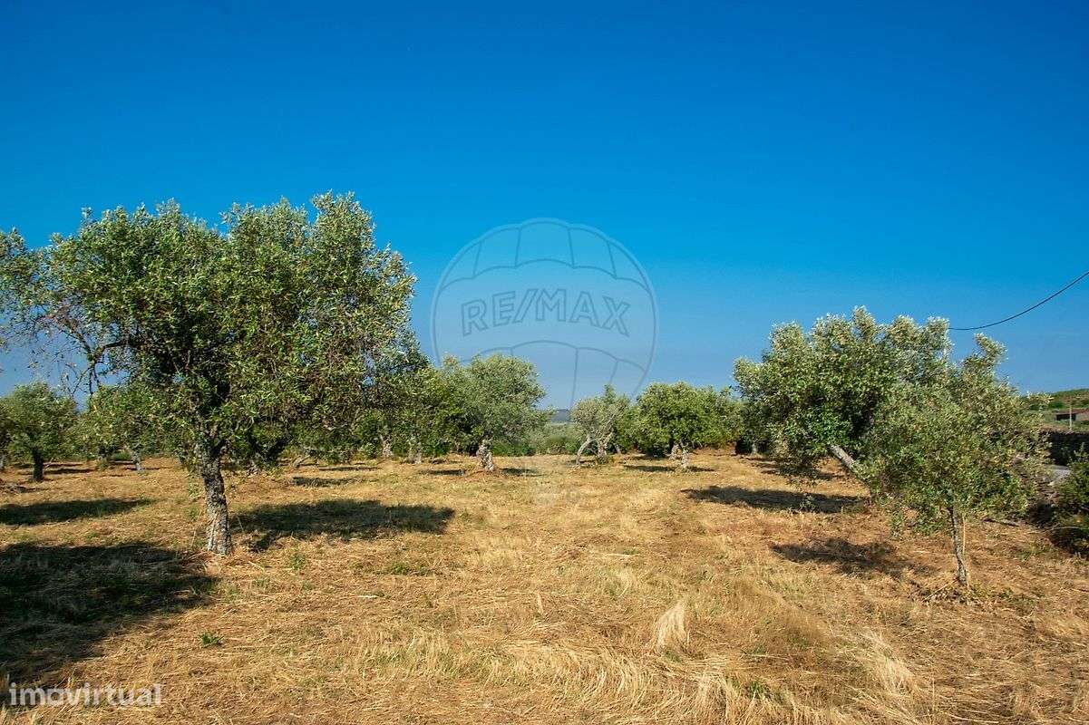 Terreno  para venda - Grande imagem: 3/12