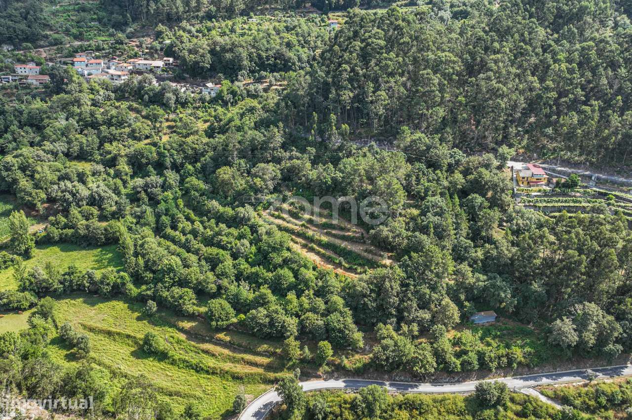 Terreno Rústico com Nascente em Seramil - Grande imagem: 2/16