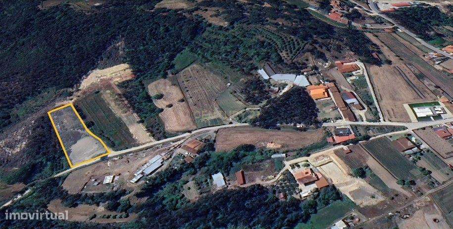 Terreno Rústico em Coimbra - Oportunidade Única por 12.990€ - Grande imagem: 4/8