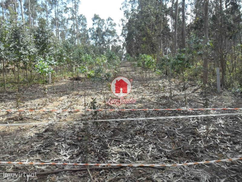 Terreno agrícola de 1.000m2 em Ferreiró, Vila do Conde