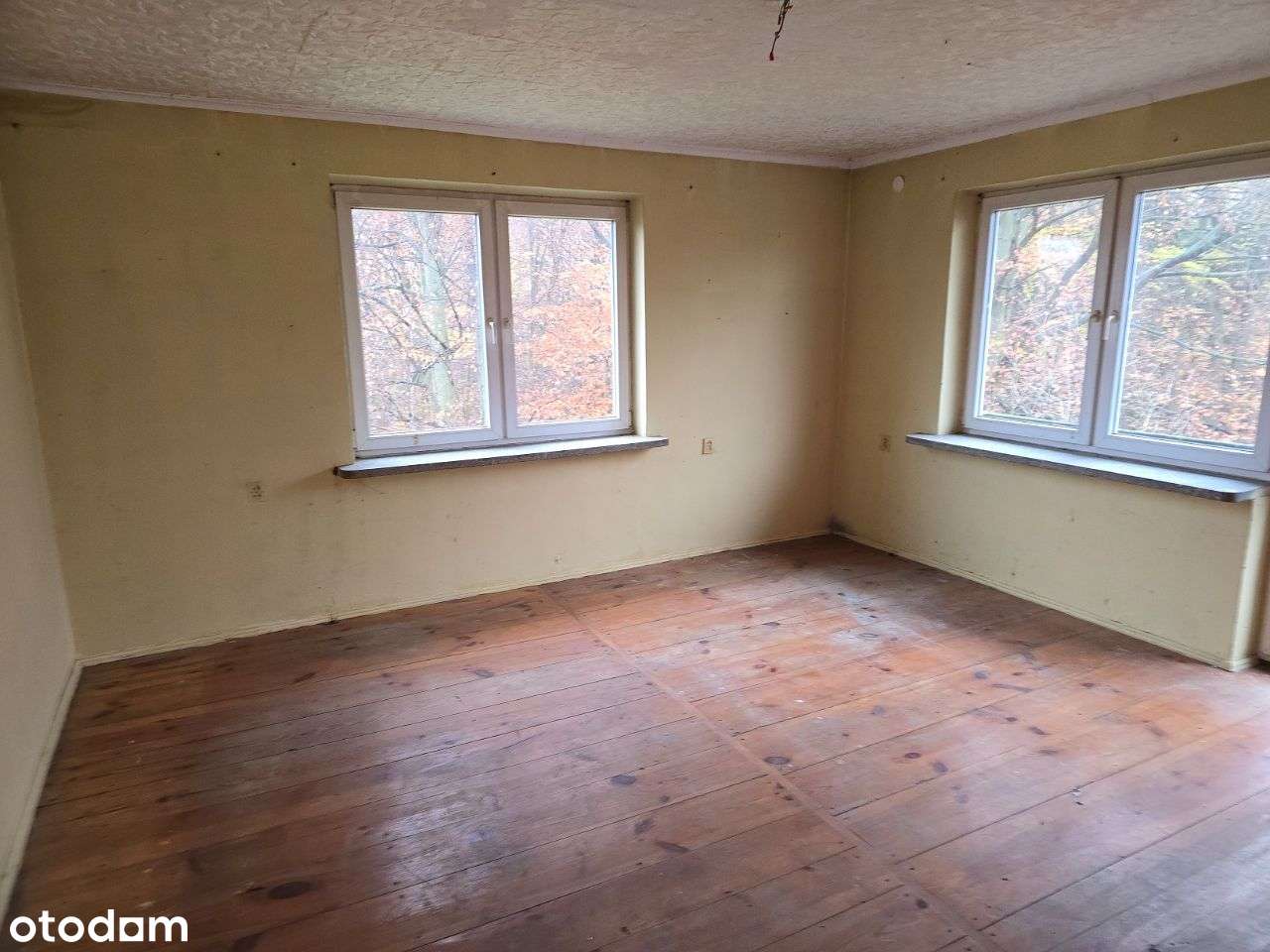 Wierzchowiska Pierwsze - siedlisko pod lasem-6