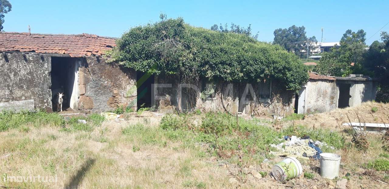 Moradia para Restauro - Grande imagem: 3/3