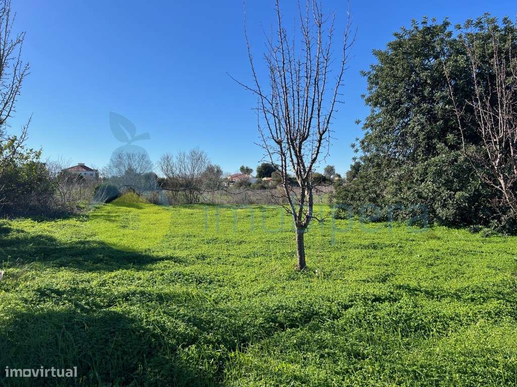 TERRENO EM CERRO DO OURO COM UMA PARCELA URBANA-23