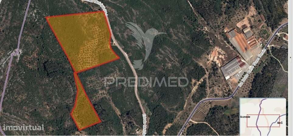 Terreno misto com uma área de 52.600.00m2 Vale da Trave / Santarém - Grande imagem: 2/30