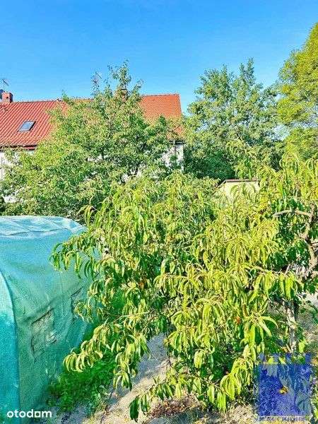 Gliwice, Szobiszowice, toszecka, 62-15