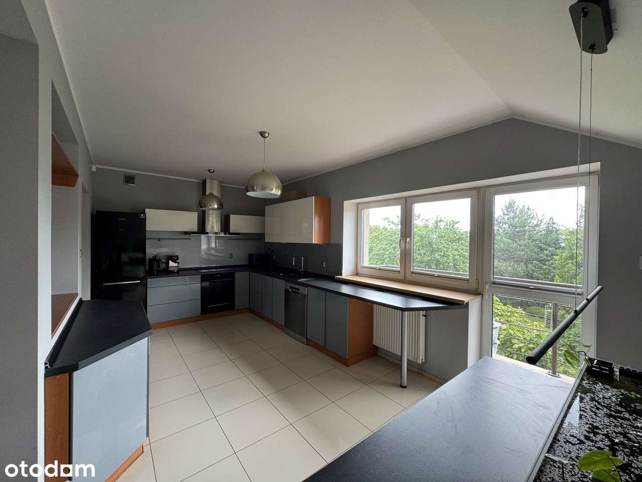 Mileszki. Większy dom 320 m2 - na cele mieszkalne lub komercyjne-17