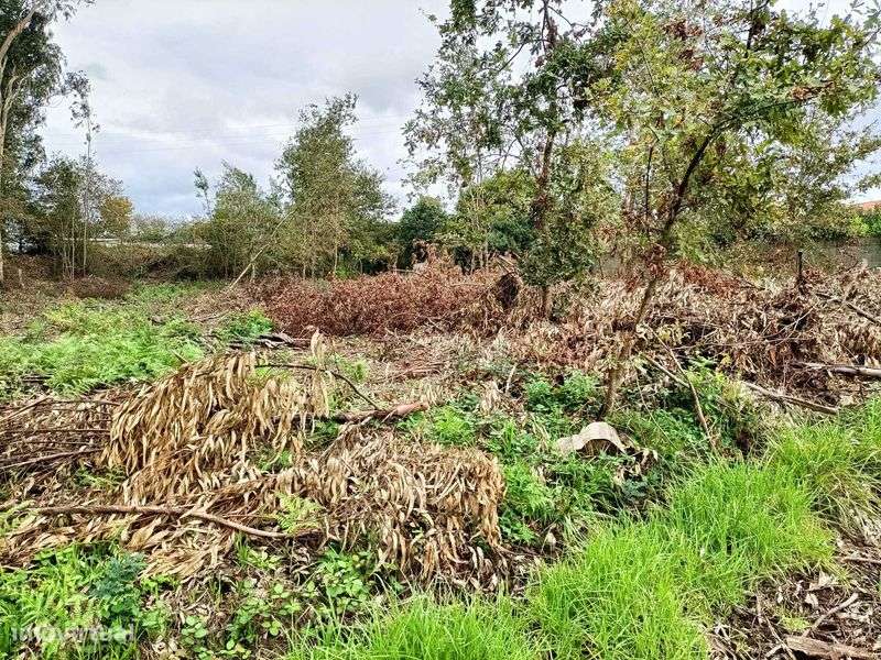 Terreno de 2000 m2 urbanizável em Vila Nova de Cerveira - Grande imagem: 4/6