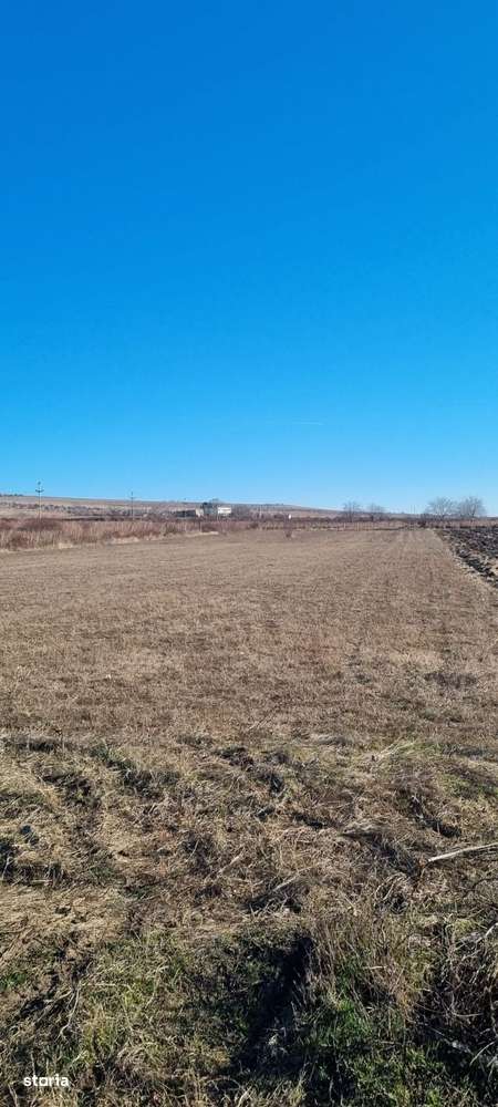 Teren 3.859 mp intravilan, 3.113 extravilan, Persunari - Gura Vadului!-0