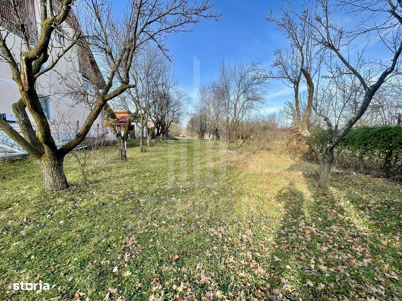 Teren intravilan 1.915 mp + cabană din lemn | Tocile – Sadu - Imagine principală: 5/7