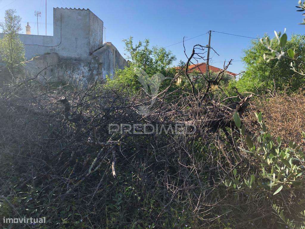 Terreno para Construção de Prédio - Grande imagem: 2/12