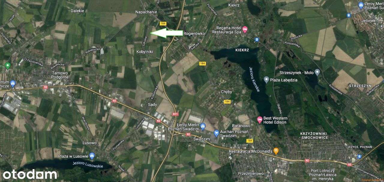 Działka gruntowa 3000m2 Kobylniki ul.Szkolna - Pełny obrazek: 5/11