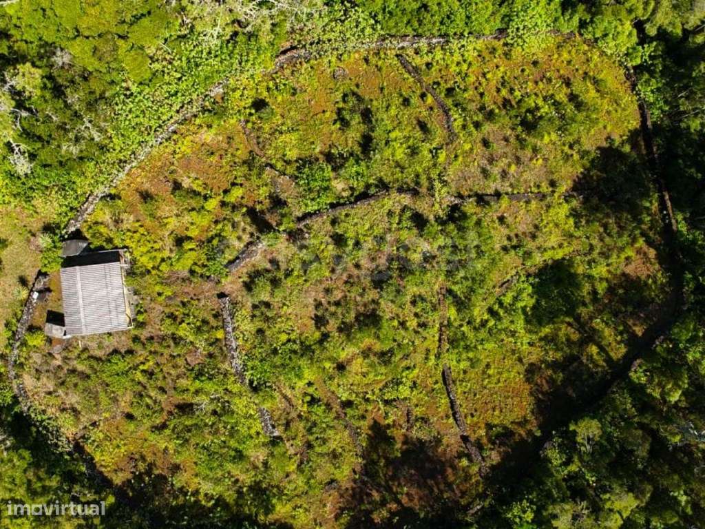 Terreno único com moradia no Mistério da Silveira - Lajes do Pico - Grande imagem: 5/29