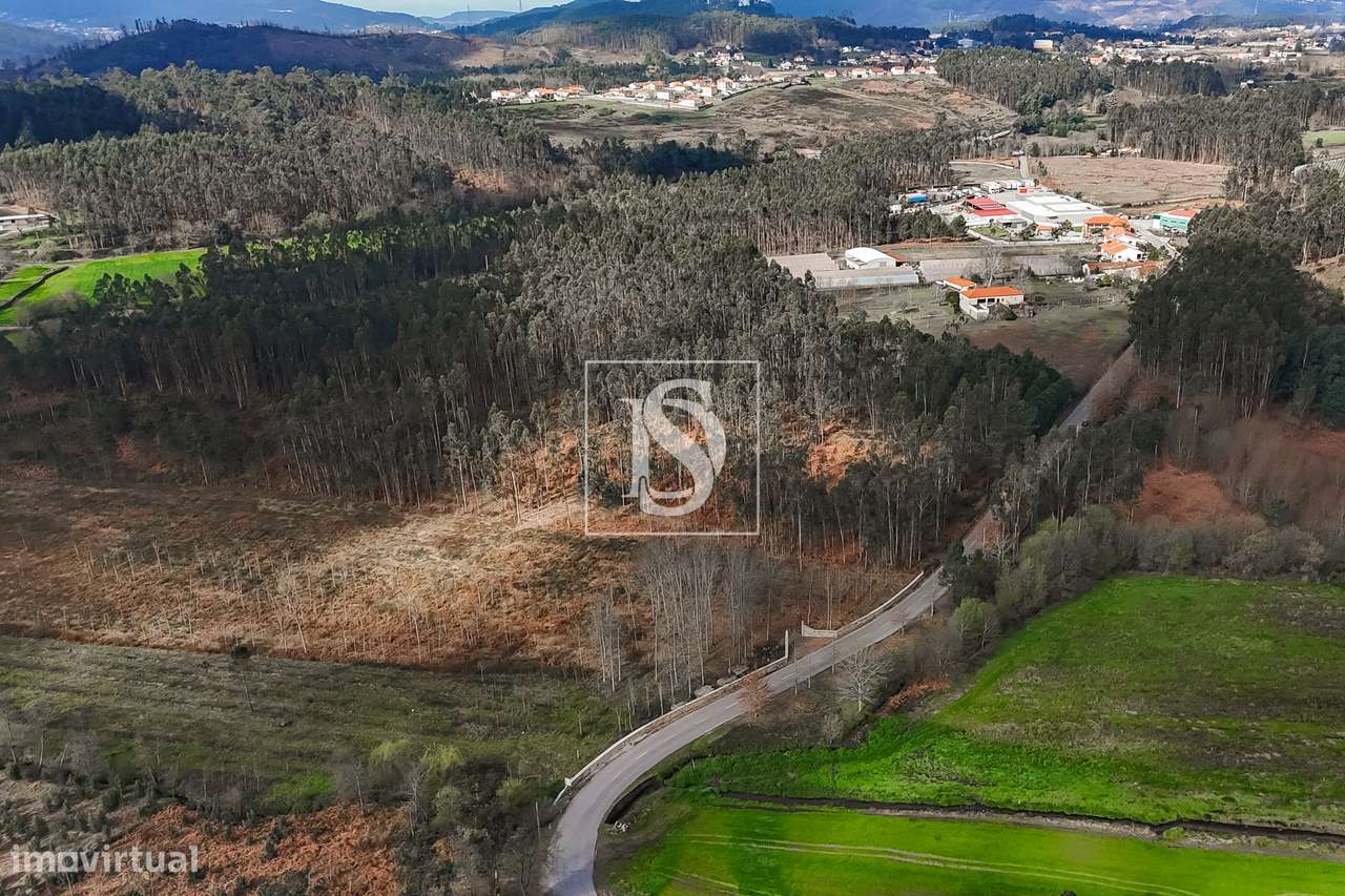 Terreno Rústico  Venda em Associação de freguesias do Vale do Neiva,Po-11