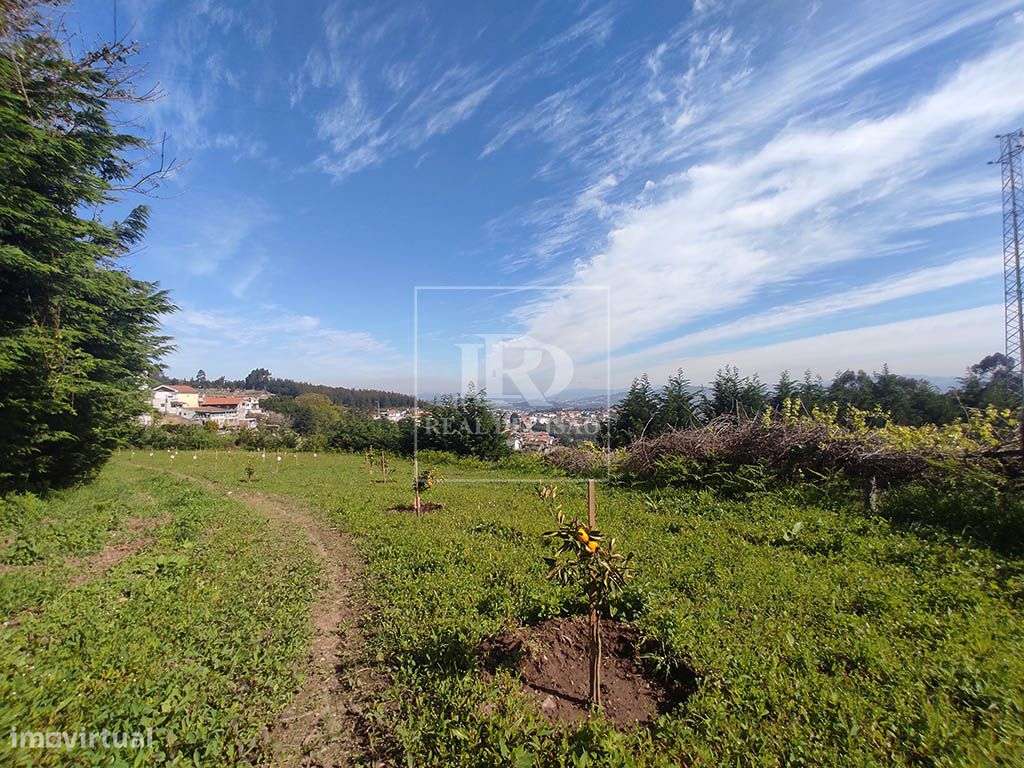 Quinta com 15000m2 em Santo Tirso-9