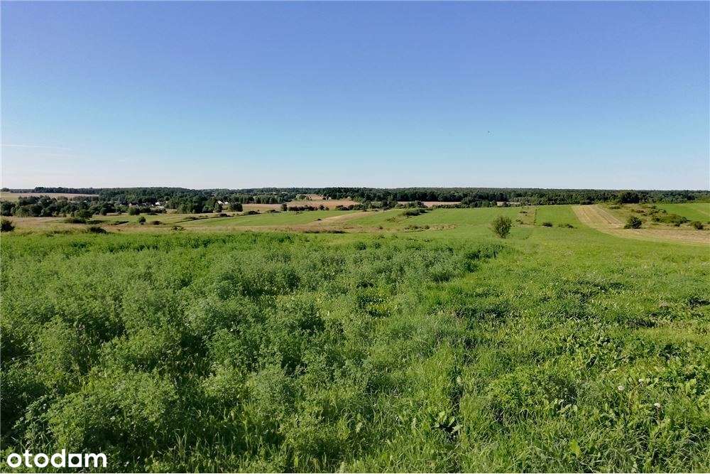 Działka rolna Poręba-Niwki-13