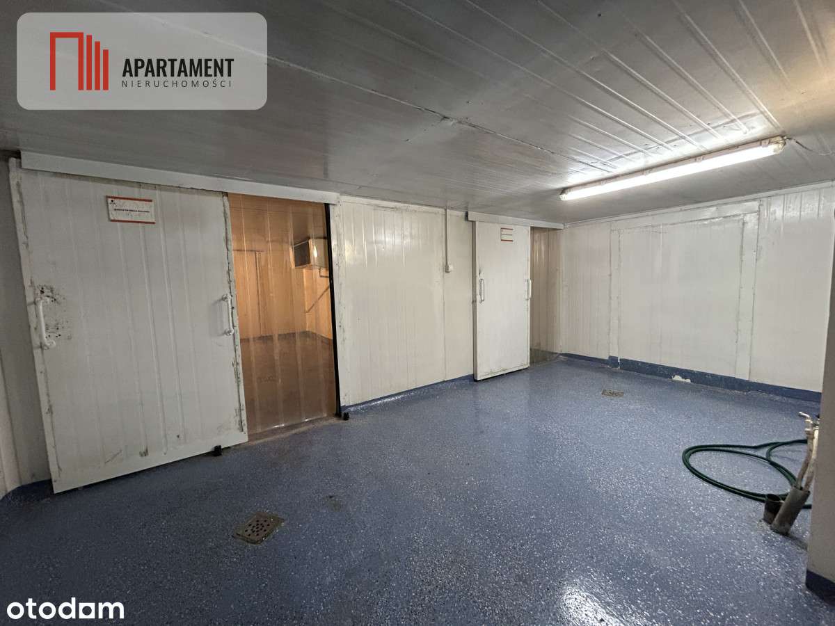 Hala pod produkcje/ Wynajem/ Brzoza - Pełny obrazek: 3/6