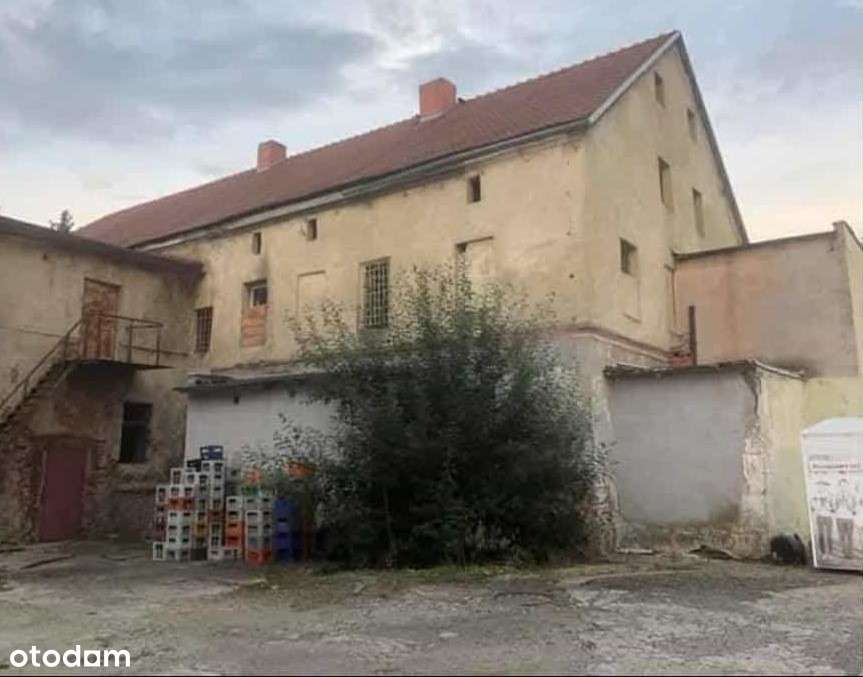 Lokal użytkowy do własnej aranżacji - Pełny obrazek: 4/8